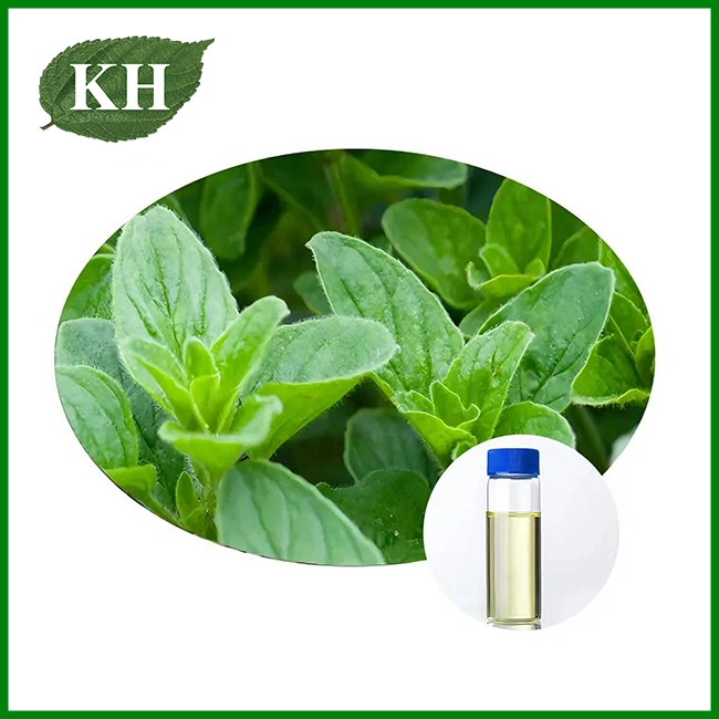 Natural Made Oregano Oil Wholesale